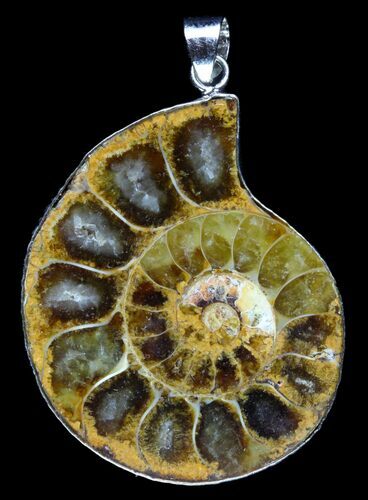 Fossil Ammonite Pendant - Million Years Old #89865